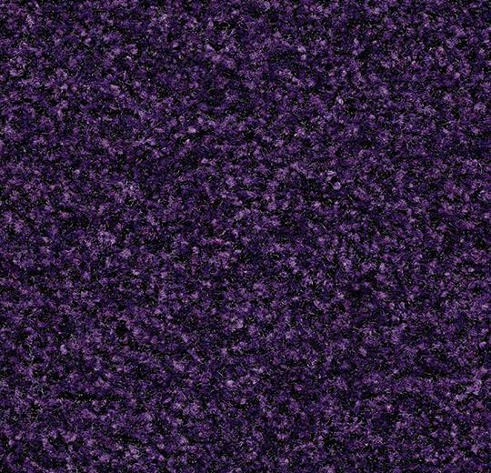 5709 royal purple